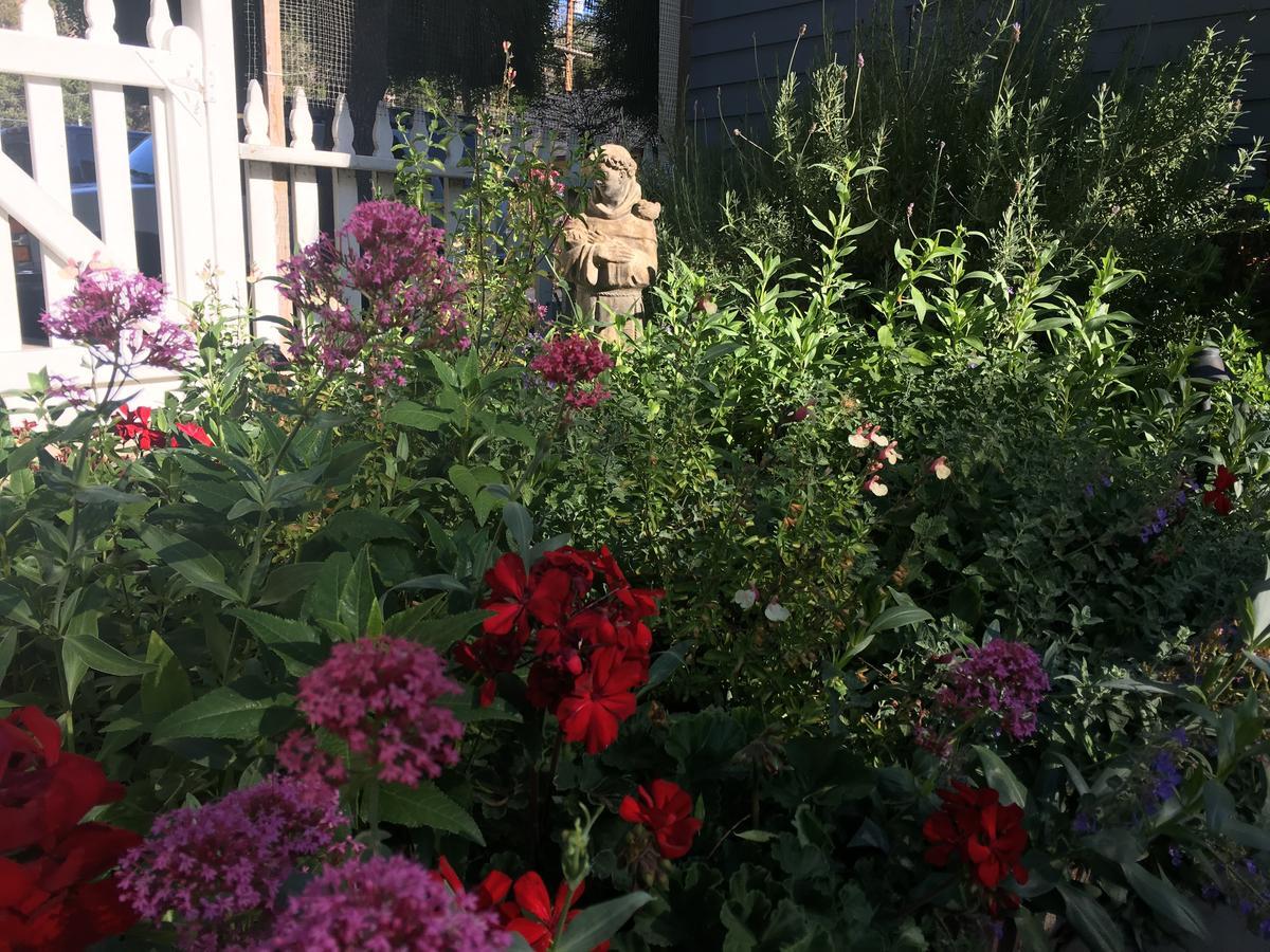 Olallieberry Inn Bed And Breakfast Cambria Exteriör bild