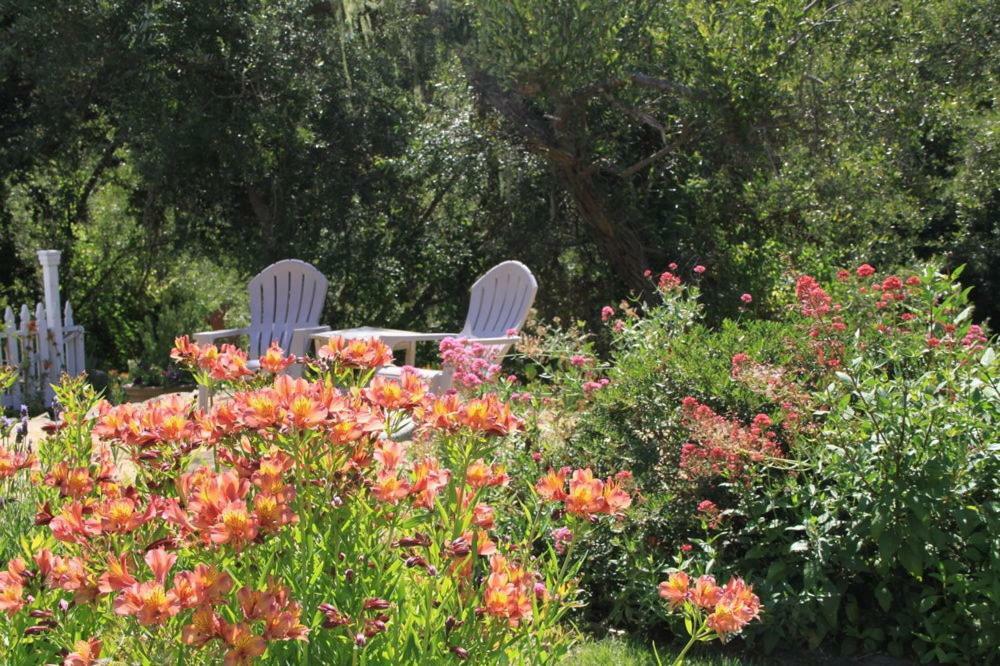 Olallieberry Inn Bed And Breakfast Cambria Exteriör bild